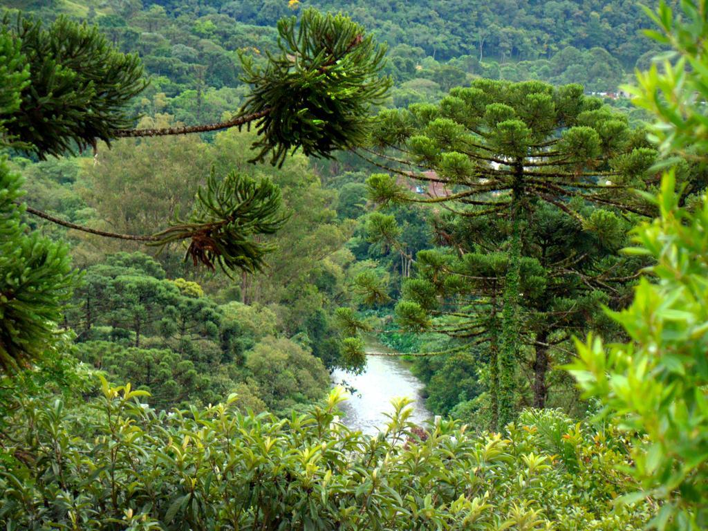 Pousada Lilaceas Visconde de Mauá Exterior foto